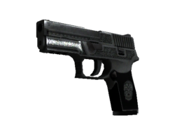 StatTrak™ P250 | Cartel (Battle-Scarred)