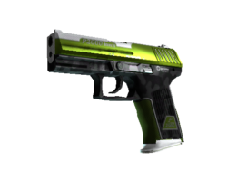 StatTrak™ P2000 | Turf (Factory New)