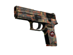 P250 | Red Rock (Field-Tested)