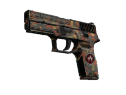 StatTrak™ P250 | Red Rock (Battle-Scarred)