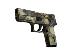 P250 | Contamination (Minimal Wear)