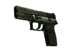 P250 | Iron Clad (Minimal Wear)