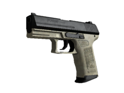 StatTrak™ P2000 | Ivory (Field-Tested)