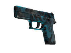 StatTrak™ P250 | Ripple (Factory New)