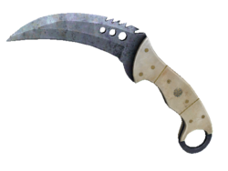 ★ StatTrak™ Talon Knife | Blue Steel (Well-Worn)