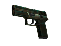 StatTrak™ P250 | Verdigris (Battle-Scarred)