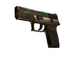 StatTrak™ P250 | Verdigris (Well-Worn)