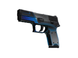 StatTrak™ P250 | Valence (Well-Worn)