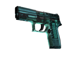 StatTrak™ P250 | X-Ray (Field-Tested)