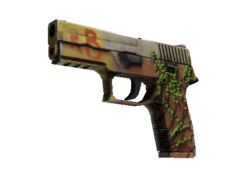 StatTrak™ P250 | Inferno (Minimal Wear)