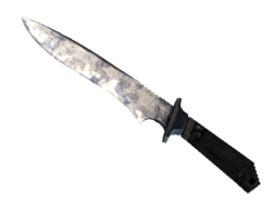 ★ StatTrak™ Classic Knife | Stained (Well-Worn)