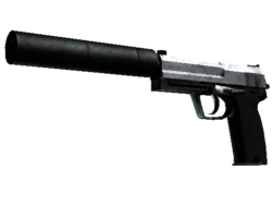 USP-S | Stainless (Battle-Scarred)