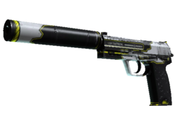 StatTrak™ USP-S | Torque (Well-Worn)