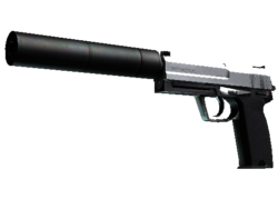 StatTrak™ USP-S | Stainless (Factory New)