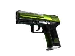 StatTrak™ P2000 | Turf (Well-Worn)