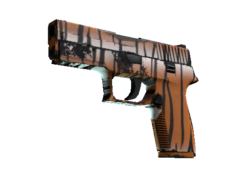 P250 | Bengal Tiger (Well-Worn)