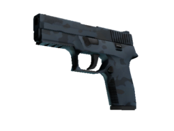 P250 | Forest Night (Minimal Wear)