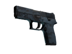 P250 | Forest Night (Field-Tested)