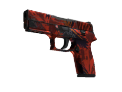 StatTrak™ P250 | Nevermore (Well-Worn)