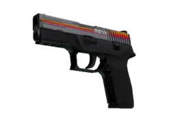 StatTrak™ P250 | Cassette (Field-Tested)