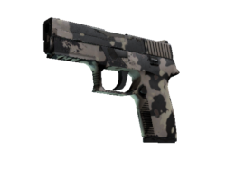 P250 | Black & Tan (Field-Tested)