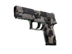 P250 | Black & Tan (Factory New)