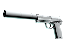 USP-S | Whiteout (Minimal Wear)