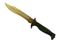 ★ Bowie Knife | Lore (Well-Worn)