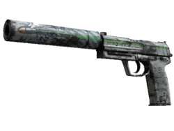 Souvenir USP-S | Road Rash (Battle-Scarred)