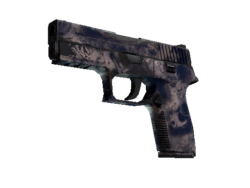 Souvenir P250 | Drought (Well-Worn)