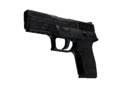 P250 | Dark Filigree (Well-Worn)