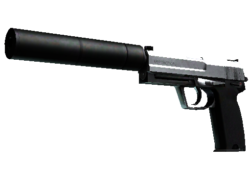 StatTrak™ USP-S | Stainless (Well-Worn)