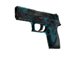 StatTrak™ P250 | Ripple (Field-Tested)