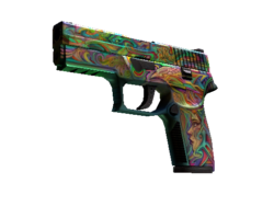 P250 | Visions (Well-Worn)