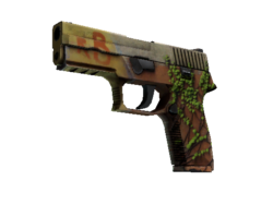 StatTrak™ P250 | Inferno (Well-Worn)