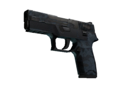 P250 | Forest Night (Battle-Scarred)