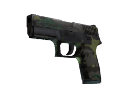 P250 | Boreal Forest (Battle-Scarred)