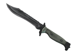 ★ StatTrak™ Bowie Knife