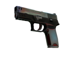 StatTrak™ P250 | Cyber Shell (Field-Tested)