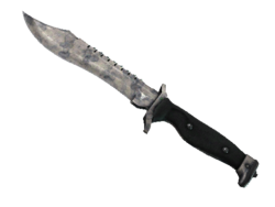 ★ Bowie Knife | Stained (Battle-Scarred)