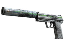 Souvenir USP-S | Road Rash (Well-Worn)