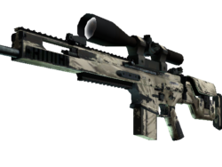 SCAR-20 | Palm (Well-Worn)