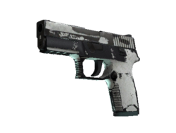 P250 | Whiteout (Battle-Scarred)