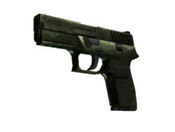 StatTrak™ P250 | Iron Clad (Well-Worn)