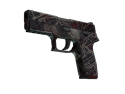 Souvenir P250 | Facility Draft (Well-Worn)