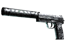 USP-S | Dark Water (Field-Tested)