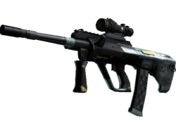 StatTrak™ AUG | Tom Cat (Well-Worn)