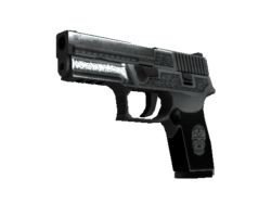 P250 | Cartel (Well-Worn)