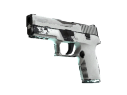 P250 | Whiteout (Field-Tested)