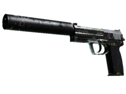 StatTrak™ USP-S | Torque (Battle-Scarred)